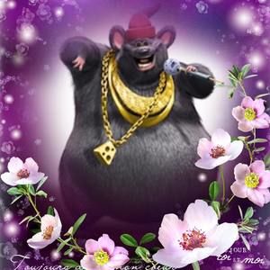 Meet your Posher, Manuel